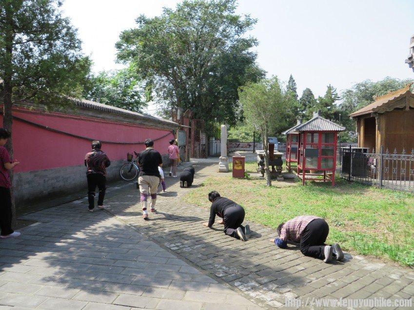 照片 1833_conew1.jpg