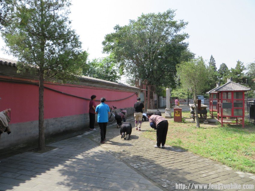 照片 1835_conew1.jpg