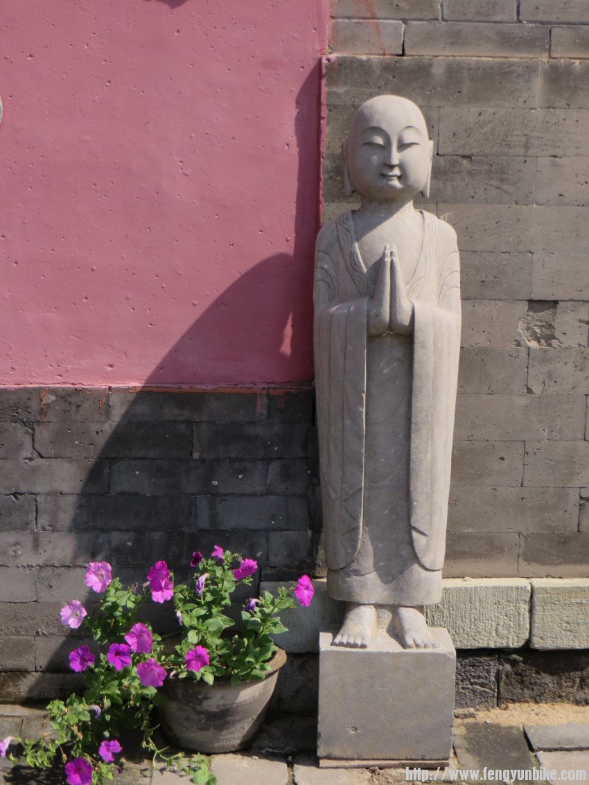 照片 1845_conew1.jpg