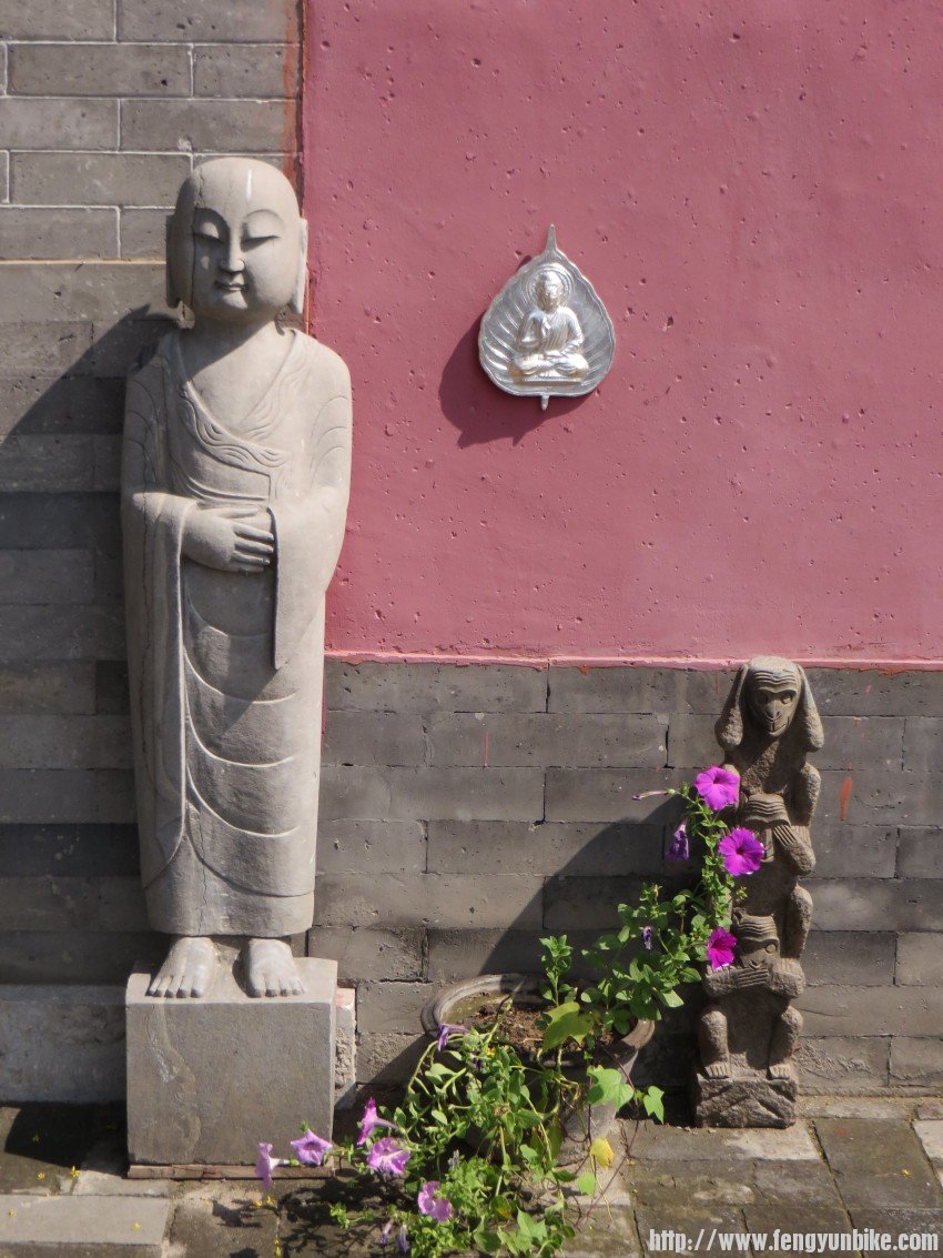 照片 1849_conew1.jpg