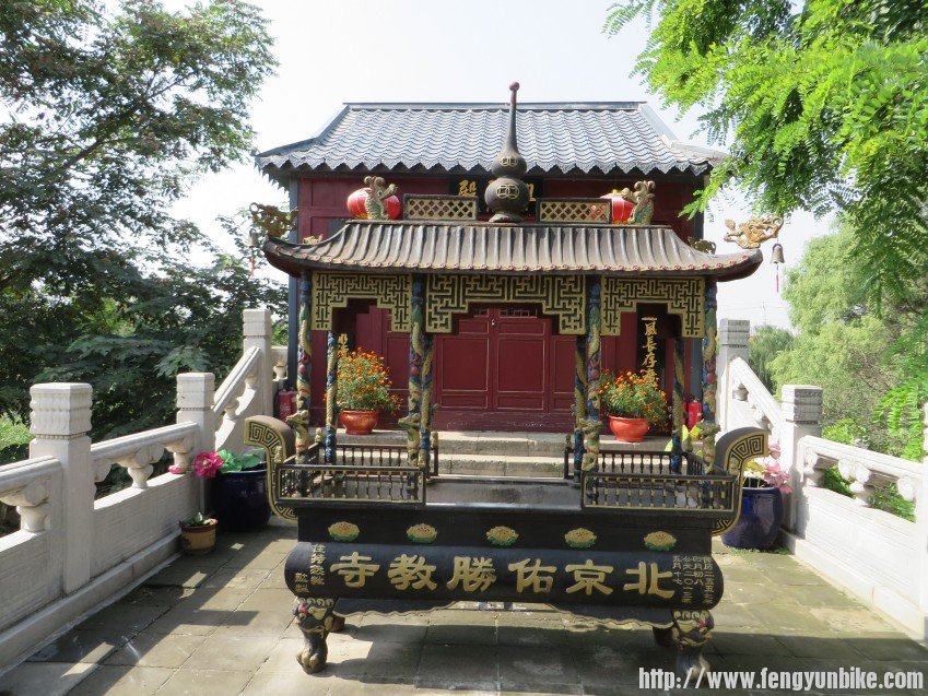 照片 1873_conew1.jpg