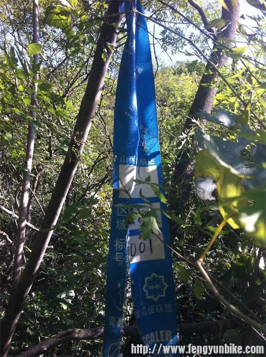 001号蓝标，顺着一路走就可以