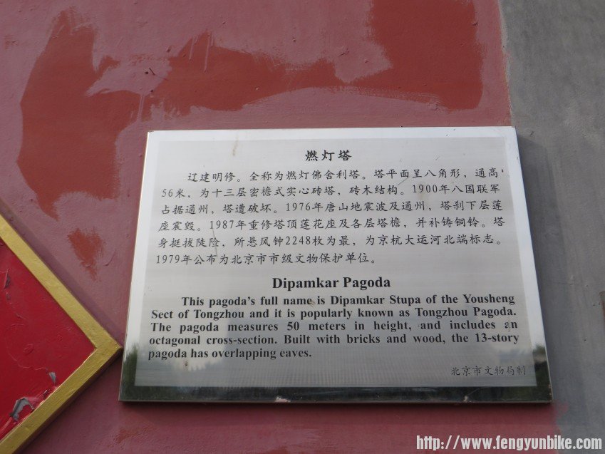 照片 2026_conew1.jpg