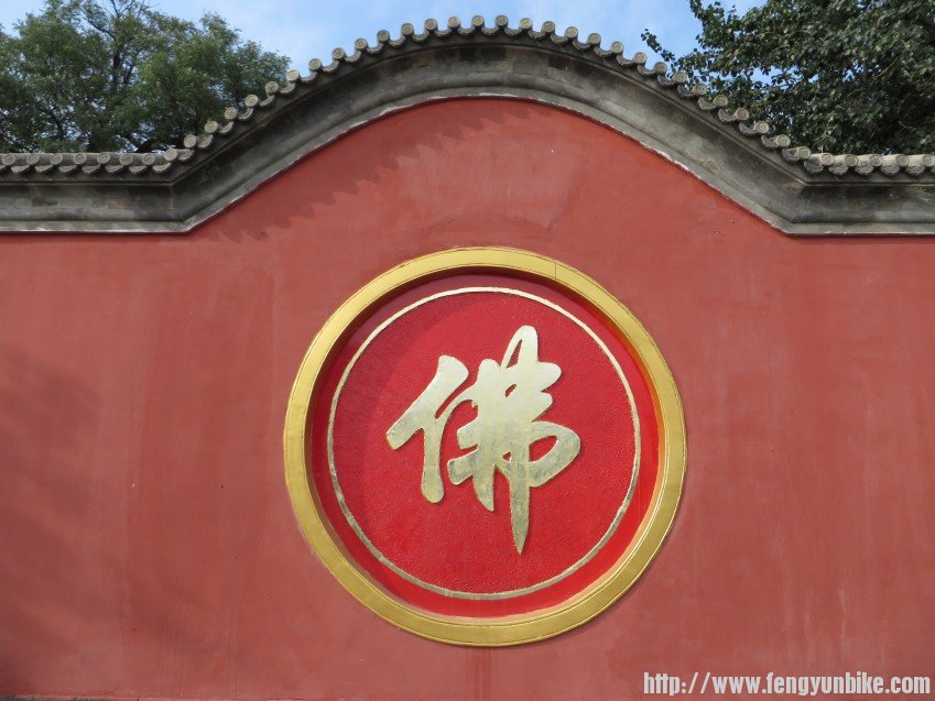 照片 2016_conew1.jpg