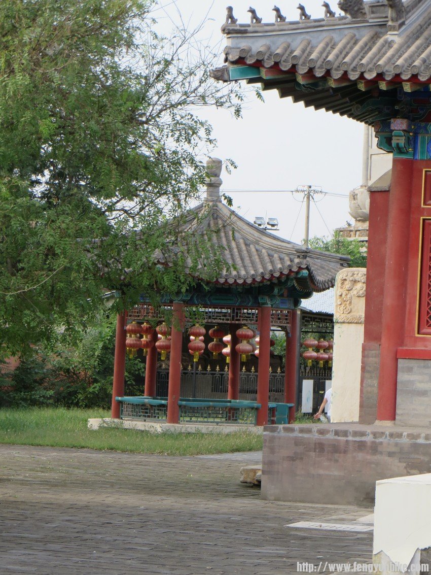 照片 2011_conew1.jpg