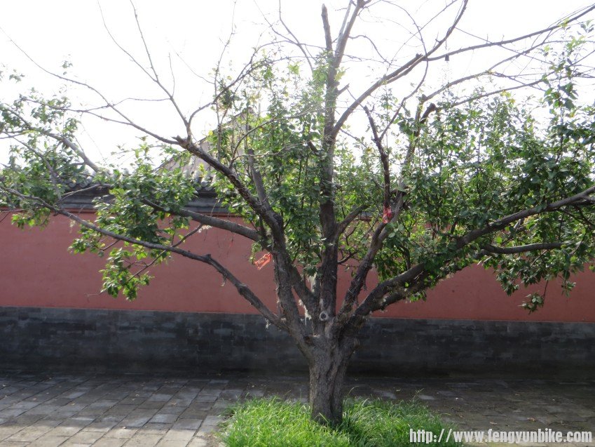 照片 1970_conew1.jpg