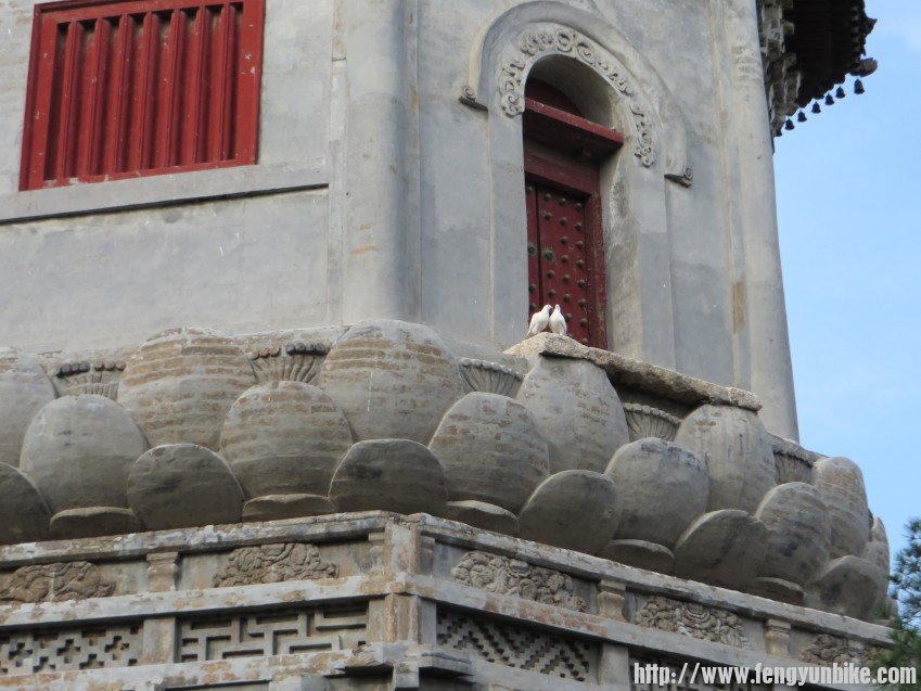 照片 2045_conew1.jpg