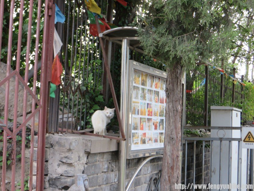 照片 2043_conew1.jpg