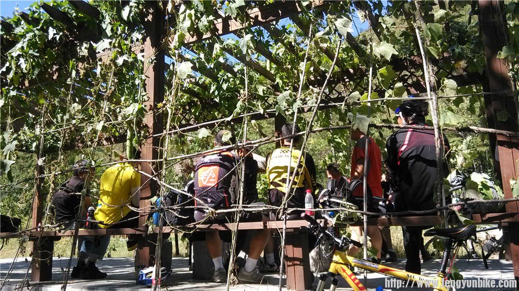 大家玩的很开心。