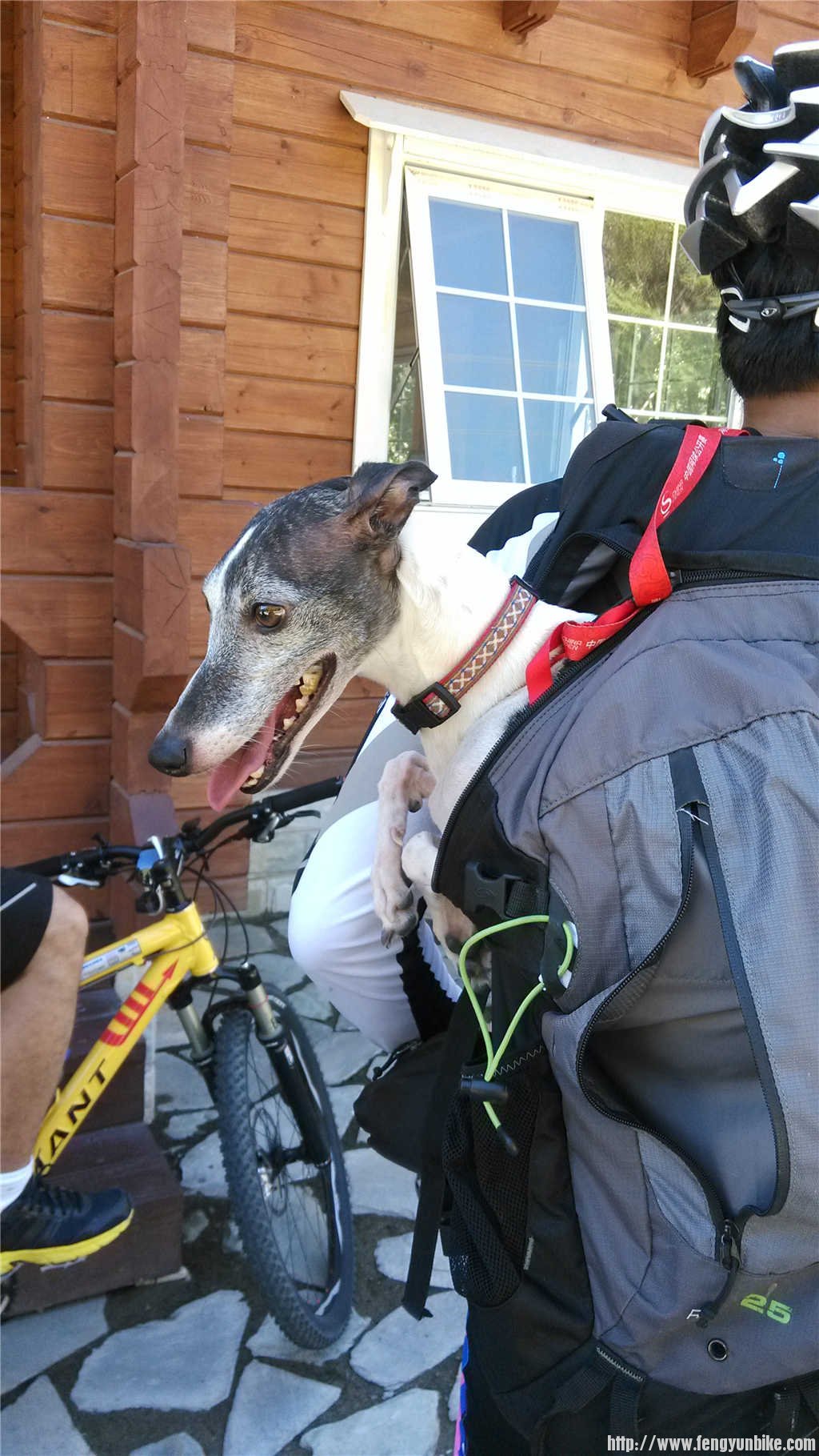 惠惠说了：“拍什么？我是懒得下来跑，我要动真格的，你们谁也追不上，哼！” ... ...