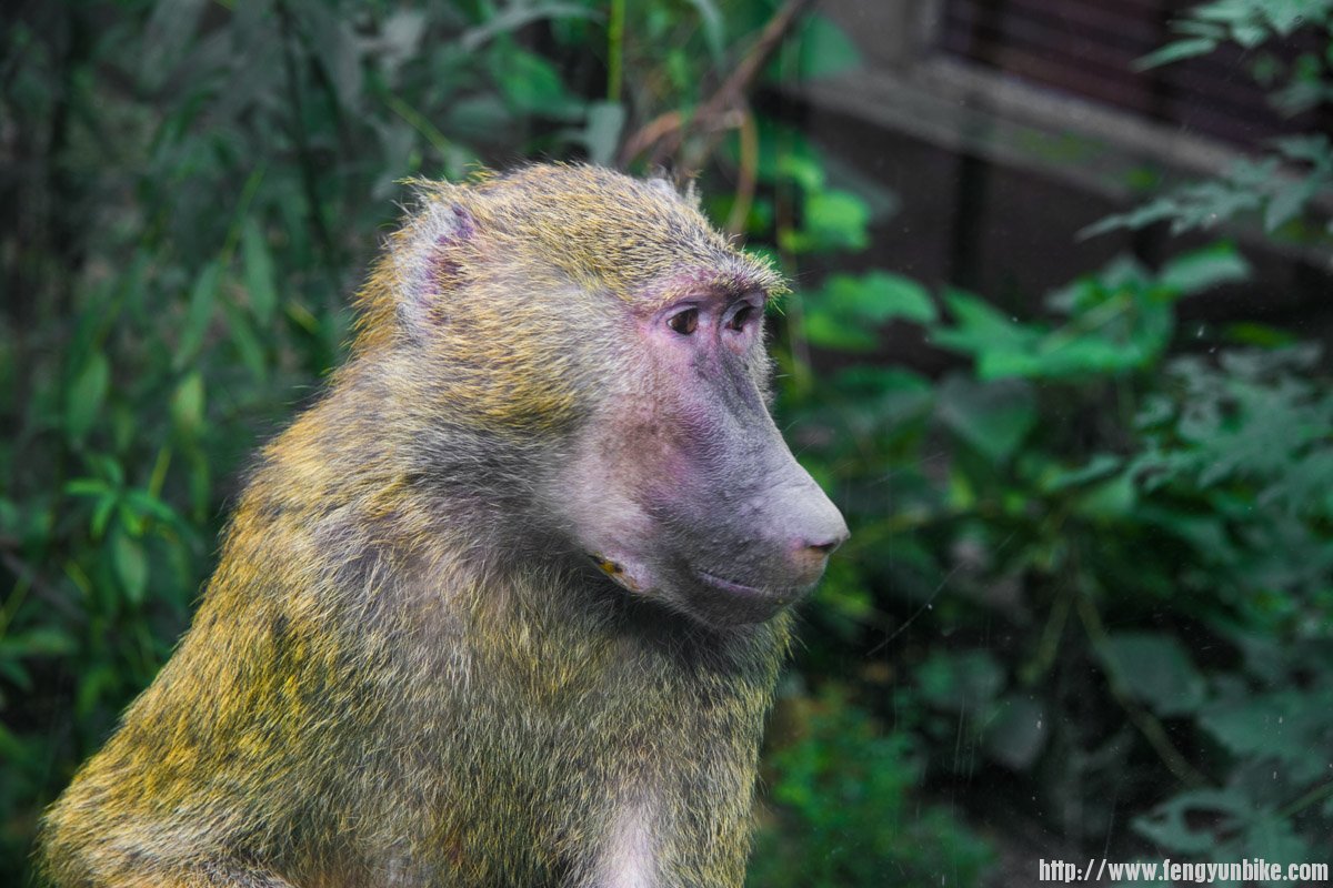 看什么呢。。。