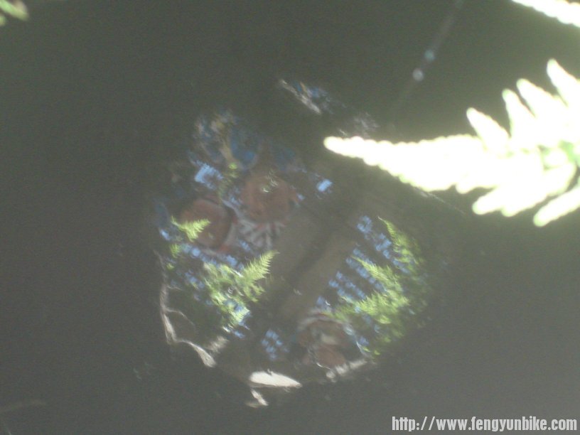 水井里映出我们的影子