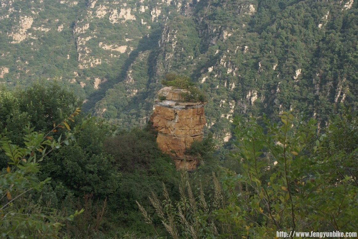 奇怪的巨大石座