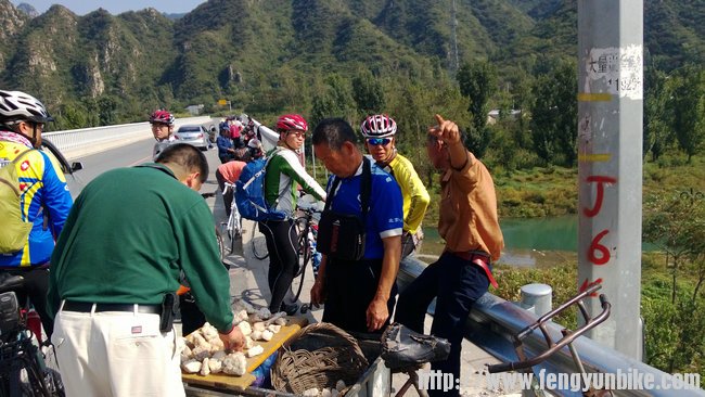知道不，这山上有猴子。
