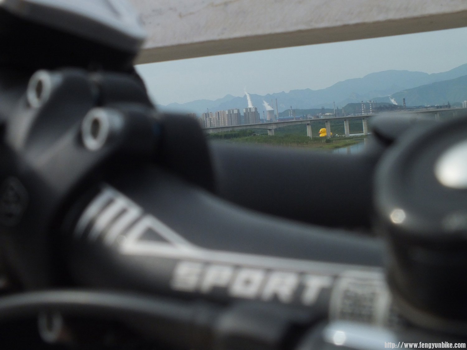 园博园南路上照的大黄鸭