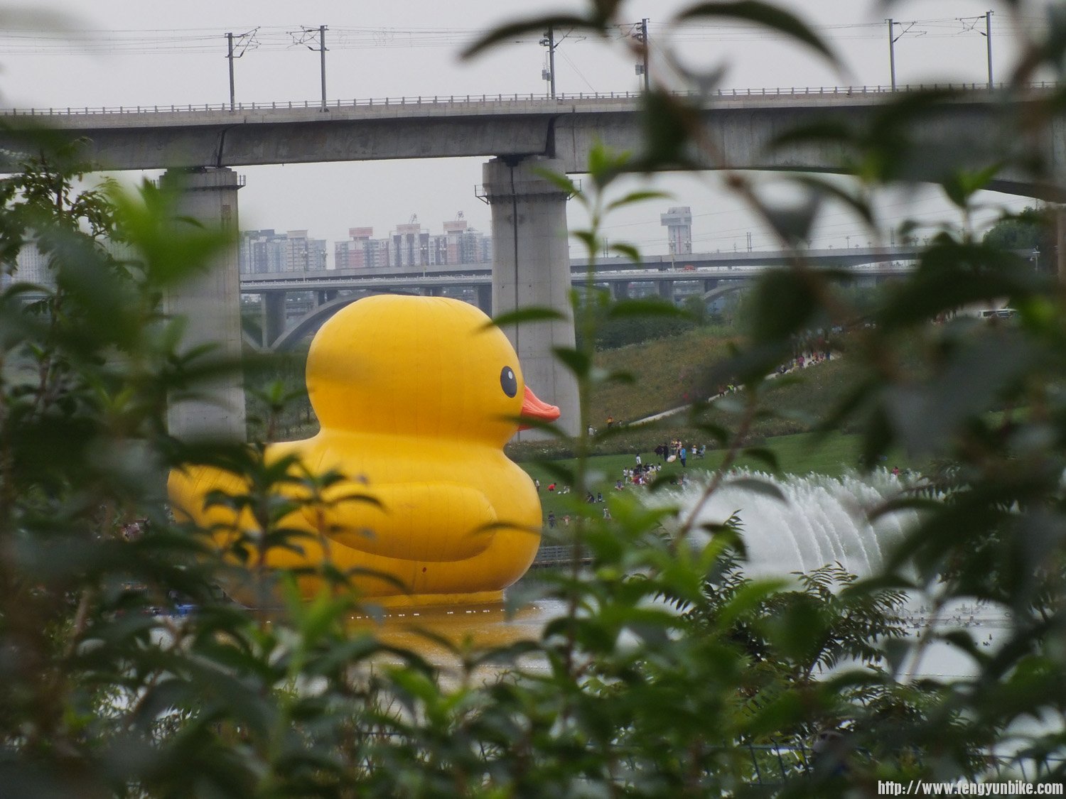 永定河休闲森林公园