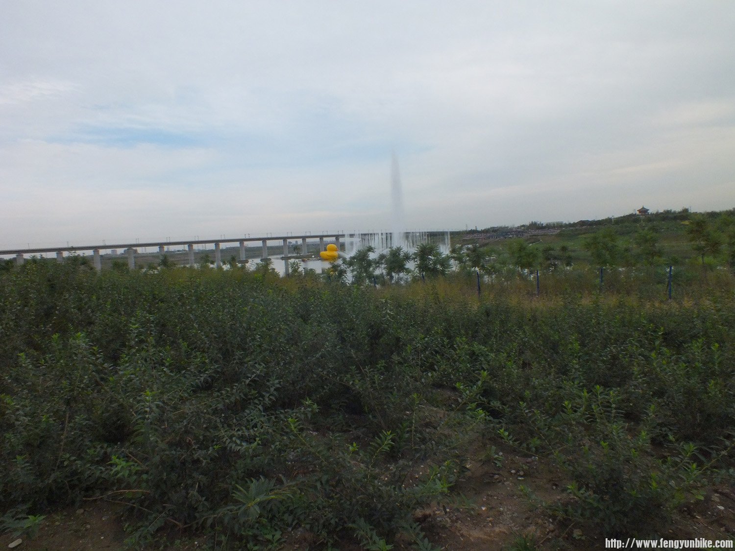 永定河休闲森林公园