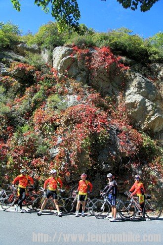 画儿里一样的感觉