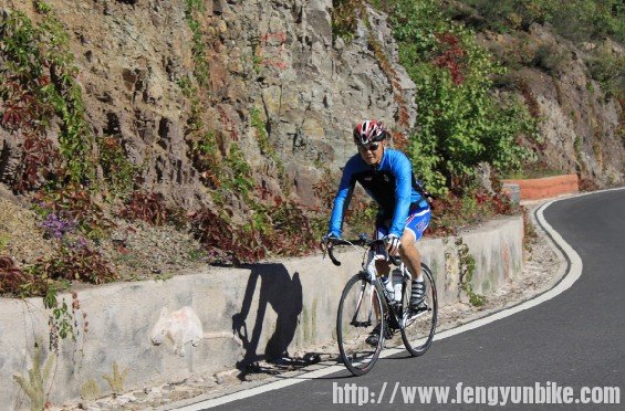 十万禁军总教头