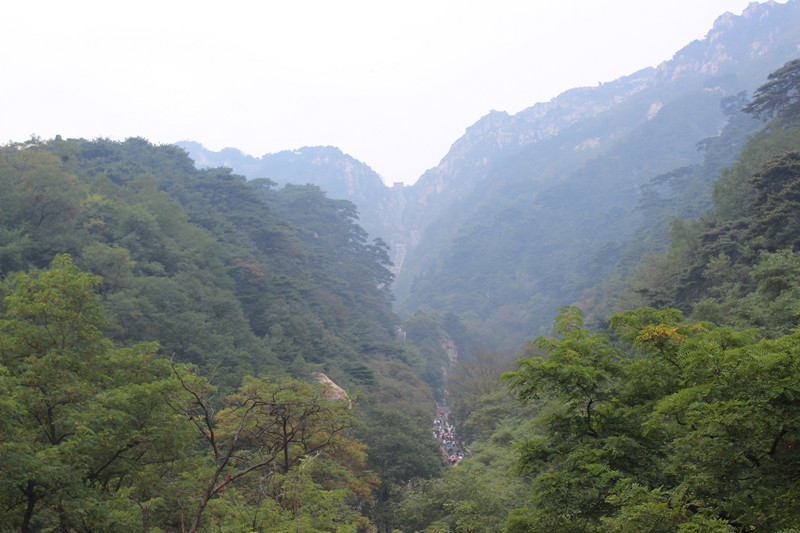090159p3hzyxahm6ypdhzr_副本.jpg