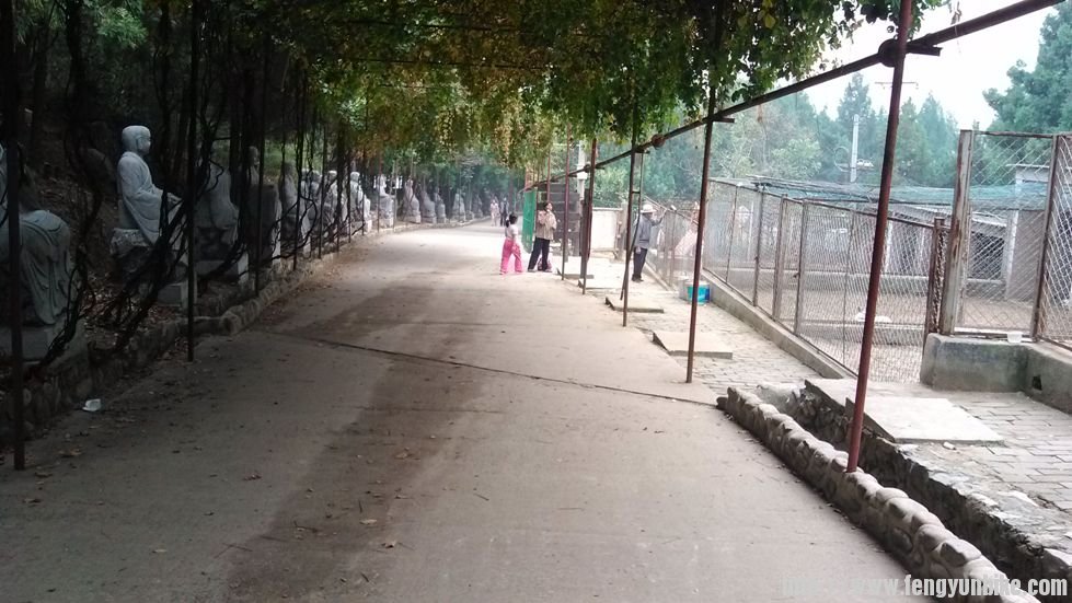 有人说从这里放坡下去，你敢吗？