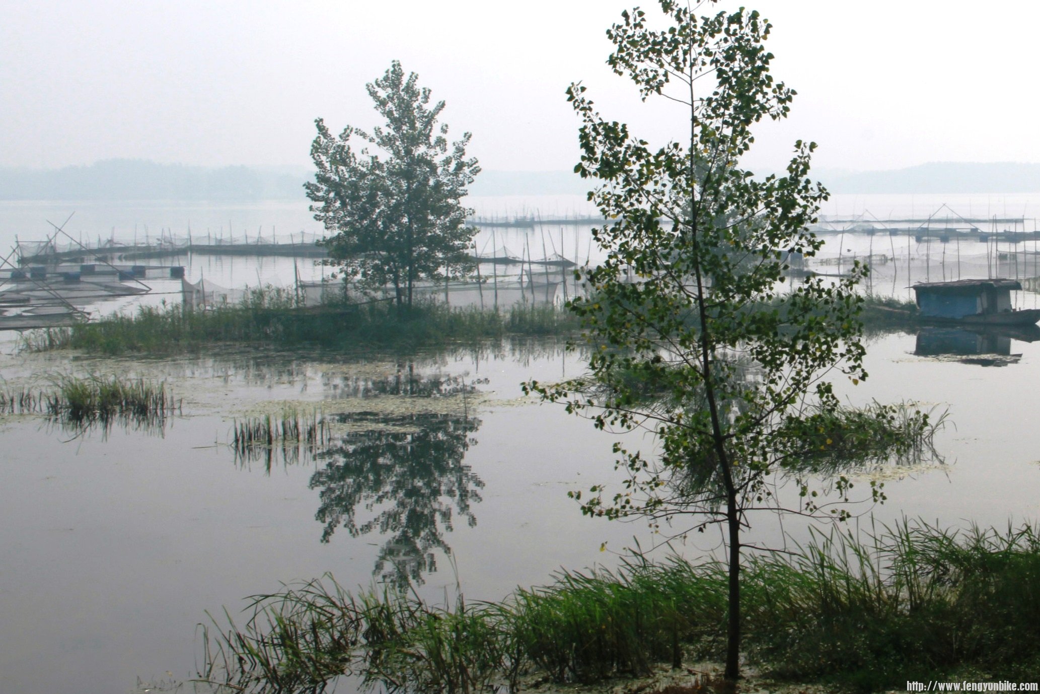 IMG_6659 (2)_2345看图王.JPG