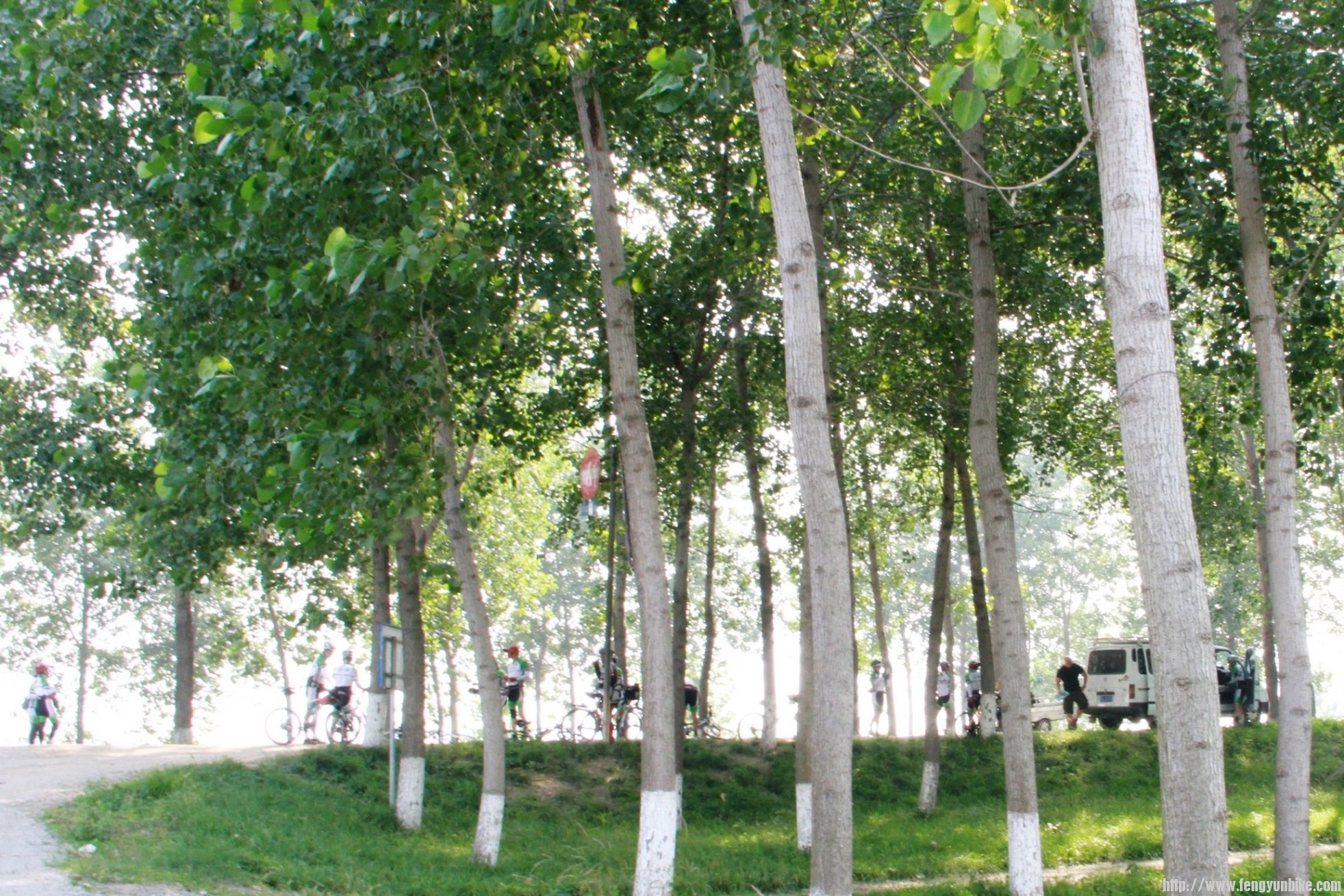 IMG_6663 (2)_2345看图王.JPG