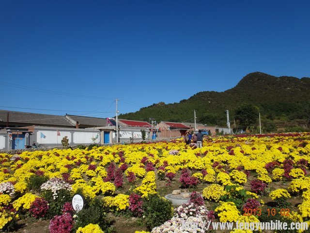 四海至永宁路上