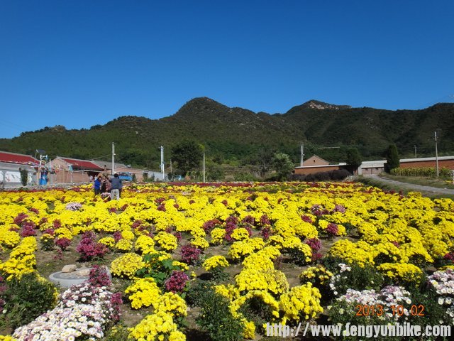 四海至永宁路上