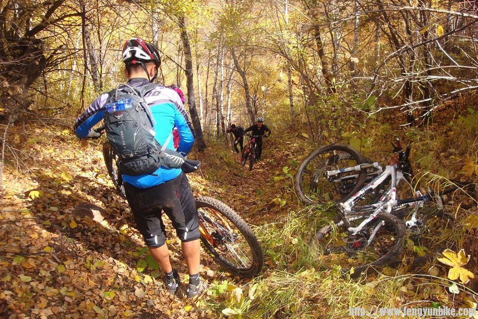 DSC05470 - 副本.JPG