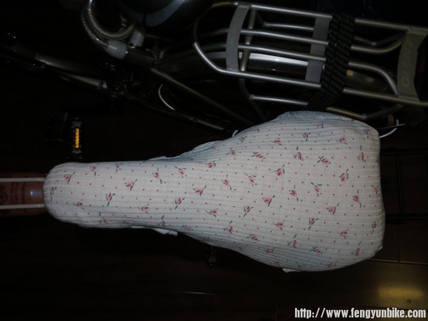 照片 2518_副本.jpg