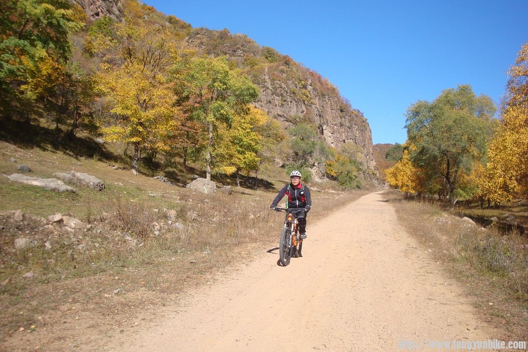 DSC05383 - 副本.JPG