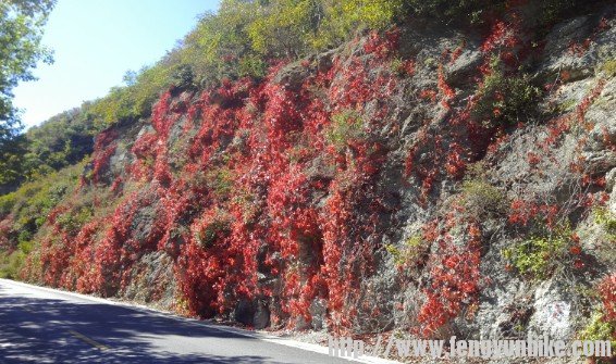 祖国山河一片红