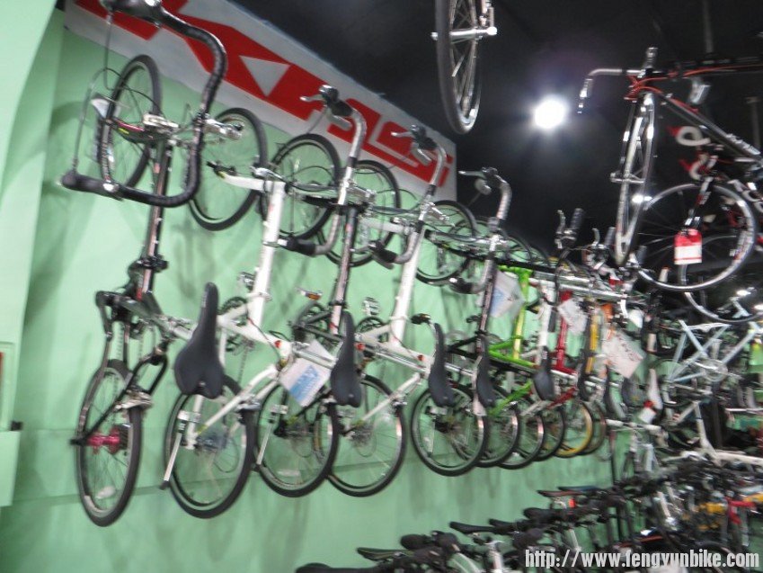 conew_照片 2497_conew1.jpg