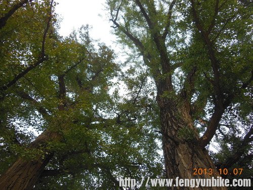 20131007环湖游 003.jpg