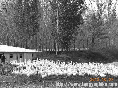 20131007环湖游 141.jpg