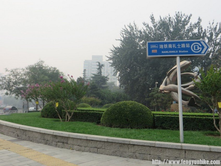 conew_照片 2316_conew1.jpg