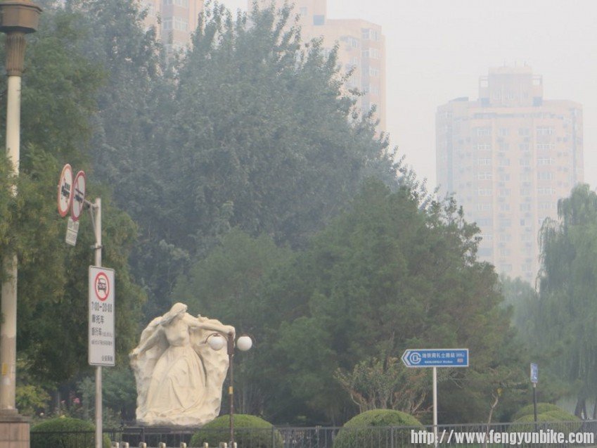 conew_照片 2320_conew1.jpg