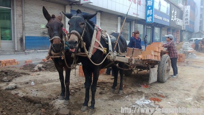 三海关-魂淡 (119).jpg