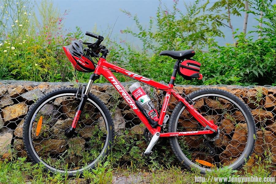 _D3S8031 (Custom).JPG