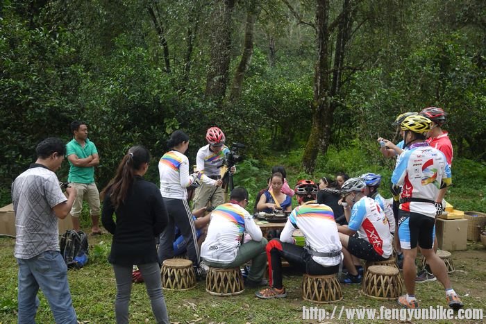 在古茶园中品古茶