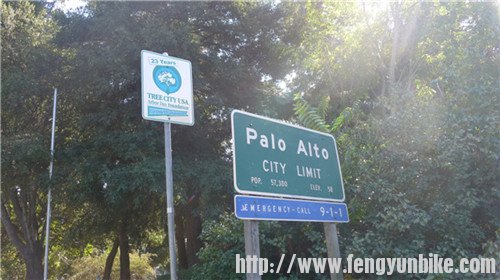 8. Palo Alto.jpg