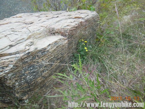 20131013孔山 127.jpg