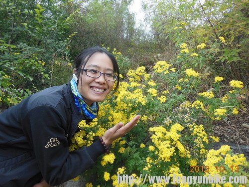 20131013孔山 168.jpg