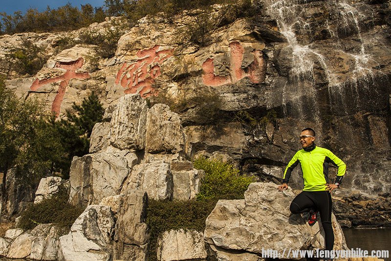 成版在找什么？