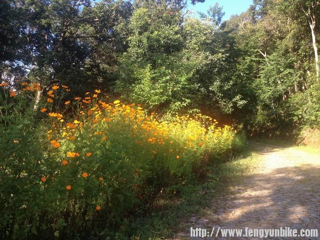 调整大小 20131002_IMG_7732.JPG