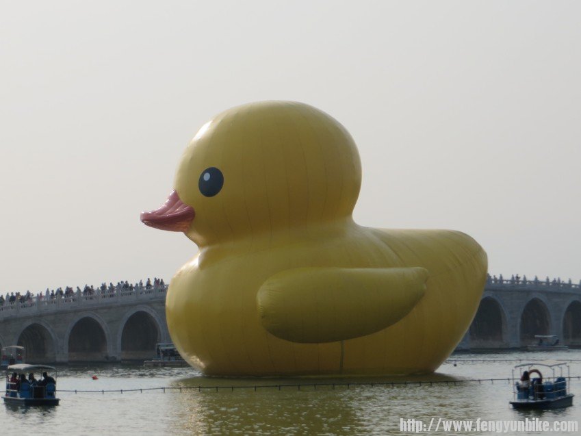 照片 2733_conew1.jpg