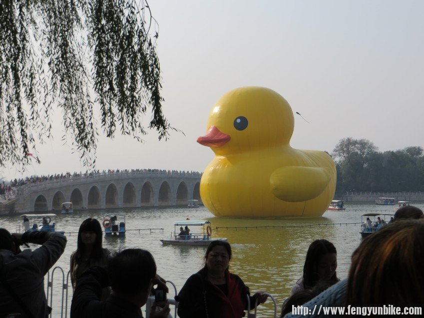 照片 2735_conew1.jpg