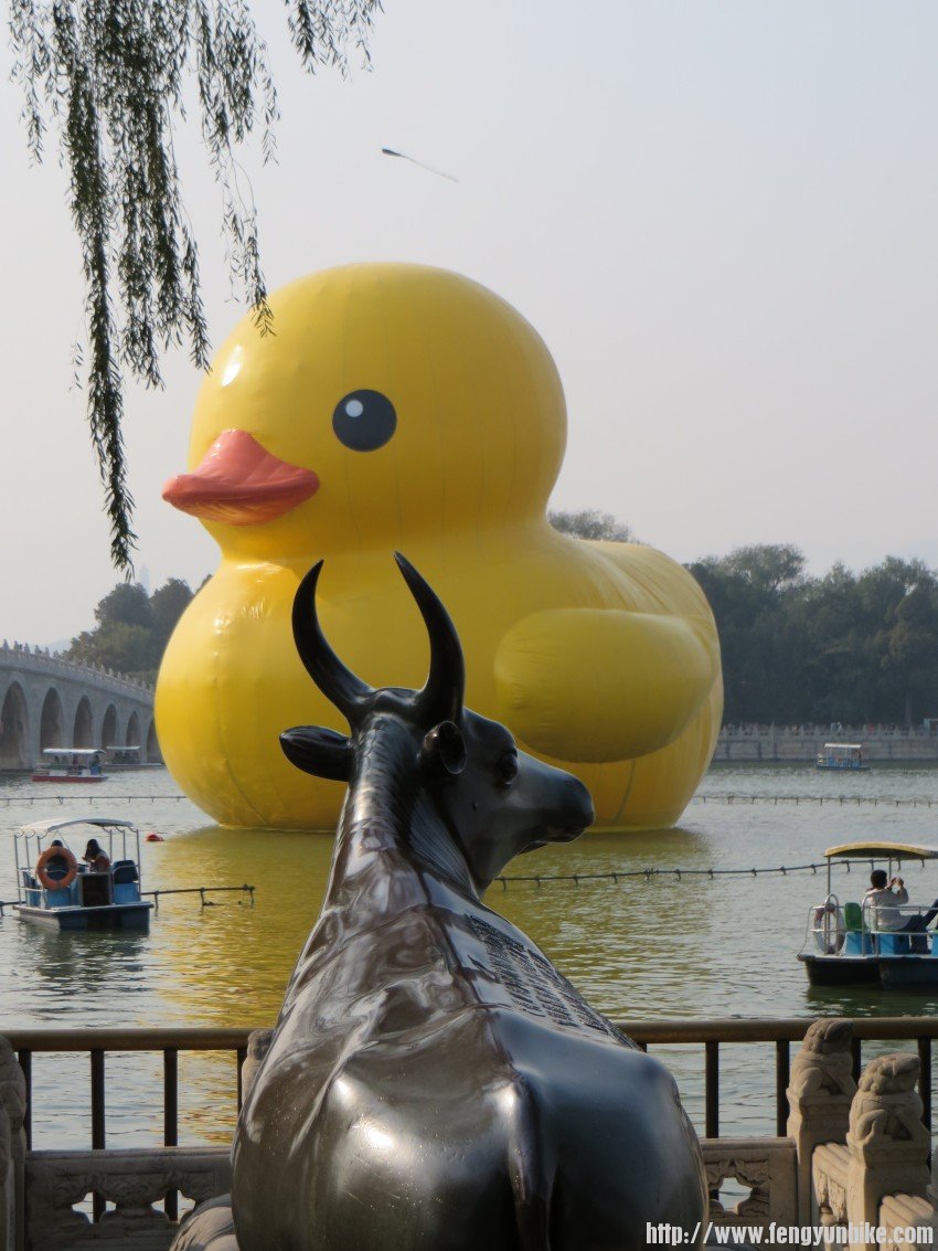 照片 2736_conew1.jpg