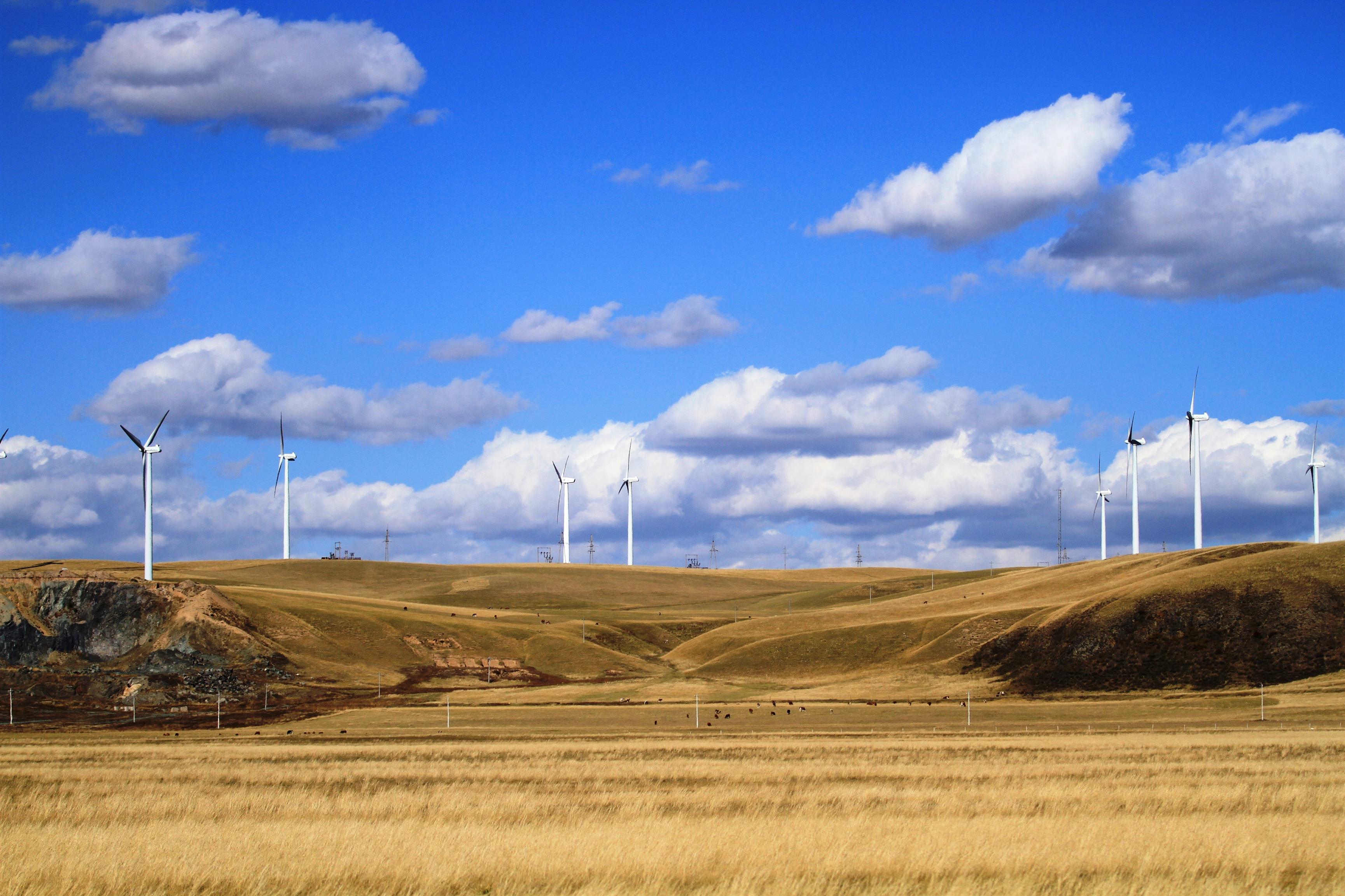 IMG_4661 - 副本.JPG